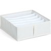 Zeller Organizér na spodnú bielizeň NOMAD so 6 priehradkami, 30 × 30 × 11 cm