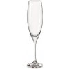 Crystalex Poháre na sekt SOPHIA 230 ml, 2 ks