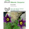 Saflax Poniklec - 30 zŕn