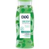 Dixi Breza, šampón pre normálny typ vlasov 400 ml, breza