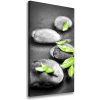 Vertikálny foto obraz na plátne Lístie kamenia zen 50x100 cm