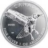 Strieborná investičná minca Myšiak červenochvostý Birds of Prey 1 Oz 2015