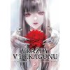 Vraždy v Dekagonu 3 - Jukito Ajacudži