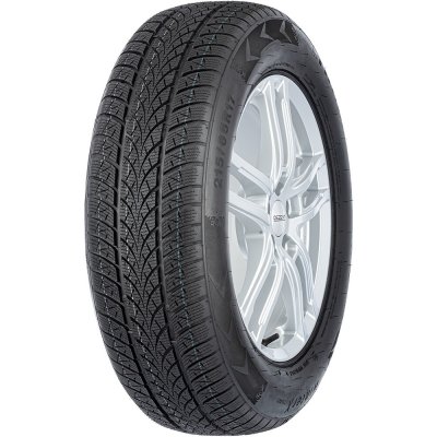Triangle WinterX TW401 205/50 R17 93V