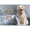 Pozorpes.sk, výstražná tabuľka (Zlatý retríver)