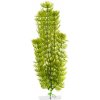 JK ANIMALS Anacharis 25-28 cm