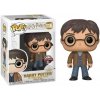 Funko POP! Movies - Harry Potter - Harry Potter with Two Wands (Special Edition)