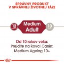 Royal Canin Medium Adult 10 x 140 g