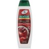 Palmolive Naturals Brilliant Color šampón na farbené vlasy 350 ml