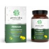 Green idea Tribulus bylinný extrakt 60 ks