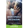 Dokonalí neznámi - J.T. Geissinger