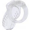 Hidden Desire Extreme Chastity Cock Cage Acrylic