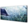Obraz canvas Umbrella dažďovej kvapky 100x50 cm