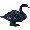 Mojo 381067 - Čierna labuť