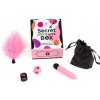 Secret Play Secret Pleasures Box