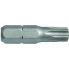 Bit T 15 25mm S2, 10ks