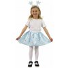 Detský kostým zimné víla tutu sukne