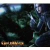 Guild Wars Factions Digital Download CD Key