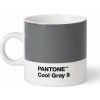 PANTONE Espresso Cool Gray 9 101040009 120 ml