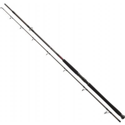 Daiwa Exceler Catfish Boje 3 m 200-600 g 2 diely