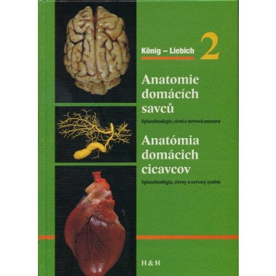 Anatomie domácích savců 2/Anatómia domácich cicavcov 2