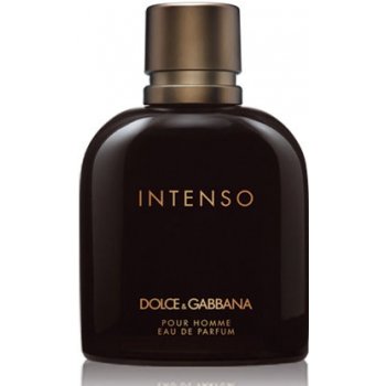 Dolce & Gabbana Intenso toaletná voda pánska 125 ml