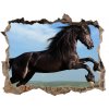 Díra 3D fototapeta na stěnu Čierny kôň na lúke 95x64 cm