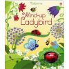 Wind-up ladybird - Fiona Watt, Ben Mantle (Iustrátor)