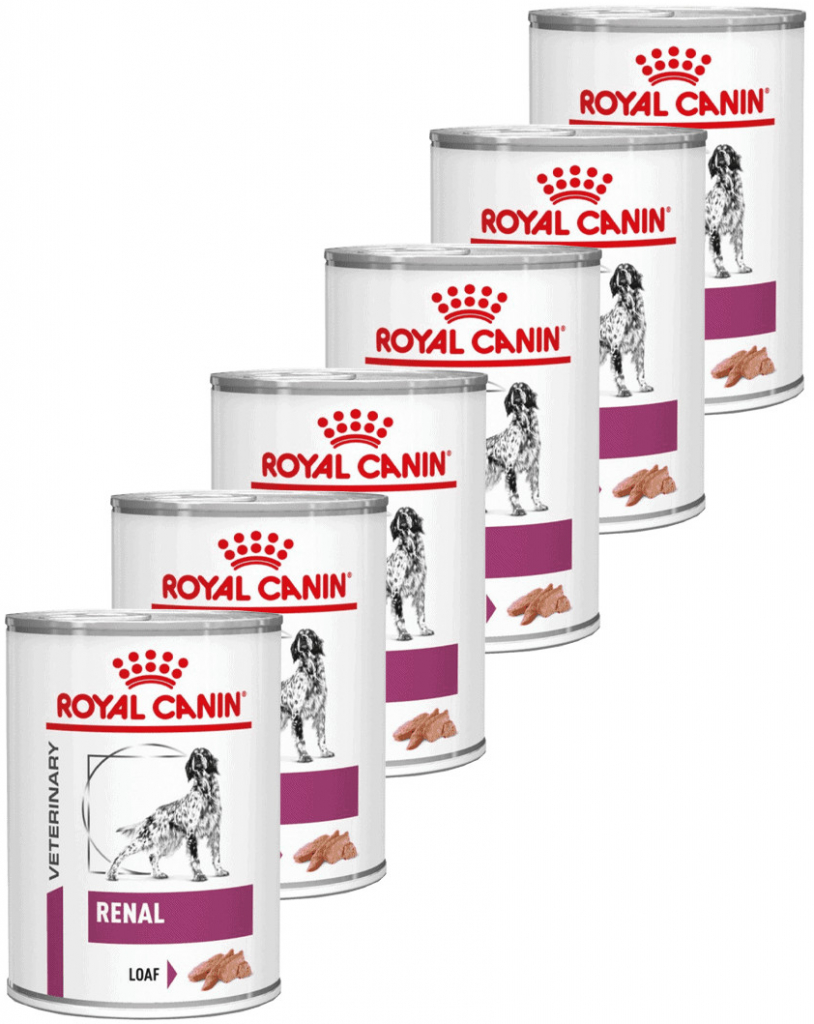 Royal Canin VHN Renal Special 6 x 410 g