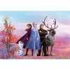 Komar Papierová fototapeta Frozen Iconic 368 x 254 cm