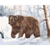 ZUTY Maľovanie podľa čísel MEDVEĎ V ZASNEŽENOM LESE Rámovanie vypnuté plátno na rám Rozmer 80 x 100 cm
