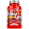 Amix TribuLyn Max 90 % 90 kapsúl