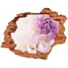 Fototapeta diera na stenu Biele dahlia 90x70 cm