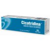 Cicatridina masť 30 g