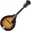 Fender Concert Tone Mandolin Pack