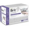 Brit VD Cat Fillets in Gravy Gastrointest 12 x 85 g