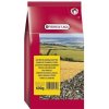 VL Sunflowerseeds Striped- Slnečnica pásikavá 600 g
