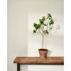 WALL PAINT Pure, Annie Sloan - 2,5 L