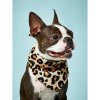 Šatka pre psa s motívom leoparda
