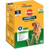 Výhodné balenie! 168 x Pedigree DentaStix Daily Dental Care / Fresh - Fresh - pre veľké psy (>25 kg)