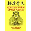 Kouzelné umění čínské masáže - Liu Shisen, Gao Jimin