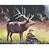 ZUTY Maľovanie podľa čísel - CHLAPEC A LOS (D. RUSTY RUST) Rámovanie: vypnuté plátno na rám, Rozmer: 80x100 cm