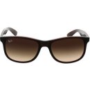 Ray-Ban 4202 607313