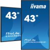 Monitor DS iiyama ProLite LH4365UHSB-B1 43