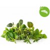 Click and Grow Mix Talianskych bylín, kapsule so semienkami a substrátom 9 ks
