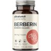 ALLNATURE Berberín extrakt 98% 500 mg 60 kapsúl