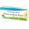 Arnica montana Borion gel 1x45g I