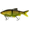WESTIN - Gumová nástraha Ricky Roach Inline Sinking 35 cm 585 g Secret UV Roach