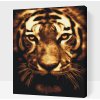 Vymalujsisam.sk Maľovanie podľa čísiel - Tiger vo svetle Veľkosť: 40x50cm, Rám: Na plastovej doske