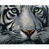 Diamondi Diamantové maľovanie - HLAVA BIELEHO TIGRA Rámovanie: vypnuté plátno na rám, Rozmer: 40x50 cm